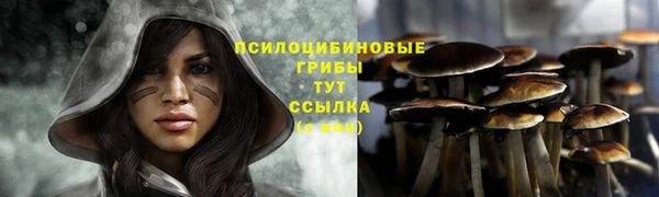 таблы Алексеевка