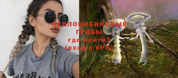дурь Алексин